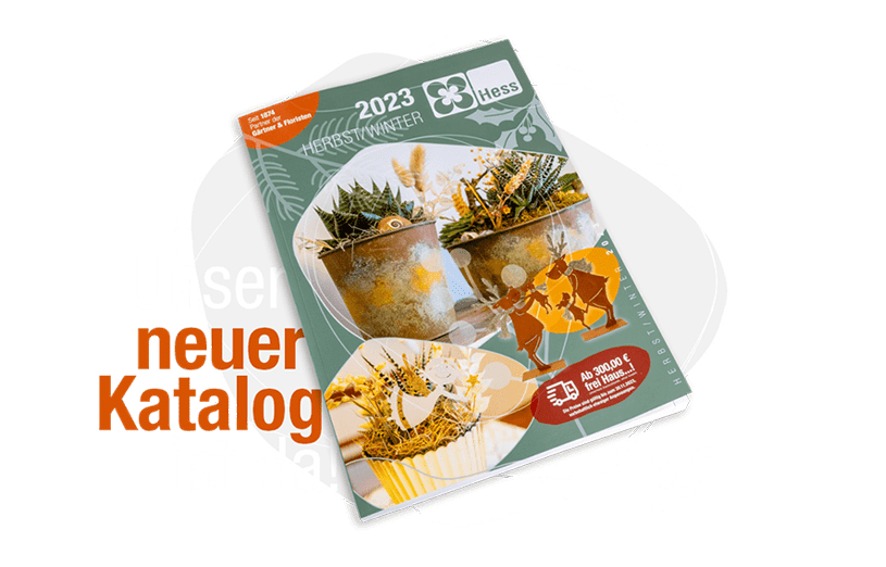 Katalog Wilhelm Hess Herbst/ Winter 2023